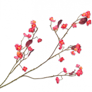 Bessentak beauty roze/oranje 93 cm