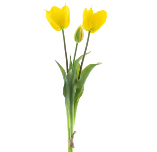 Real Touch Open tulip bundle Sally x3 yellow 48cm
