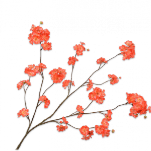 Bloesem tak oranje rood 127cm