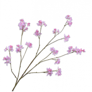 Bloesem tak licht roze 130 cm
