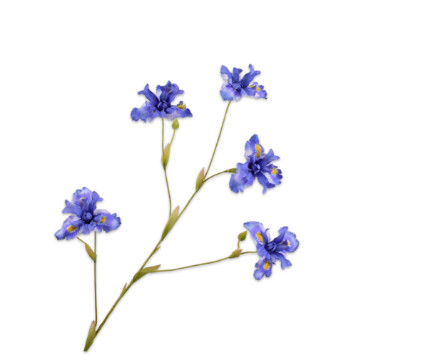 Iris tak blauw 86 cm