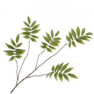 Bladtak Groen 107 cm