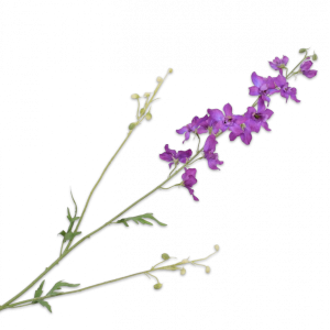 Delphinium tak lavendel 101 cm