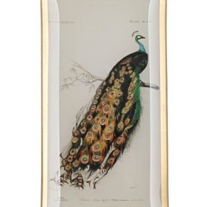 Love plate - pauw - 10x0,8x21cm