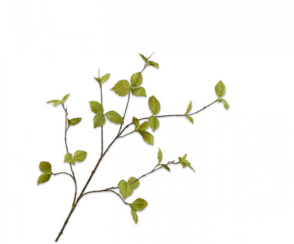 Blad Tak Groen 116 cm
