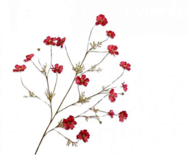 Set vaas met bloemen 'Sun' - Afbeelding 3