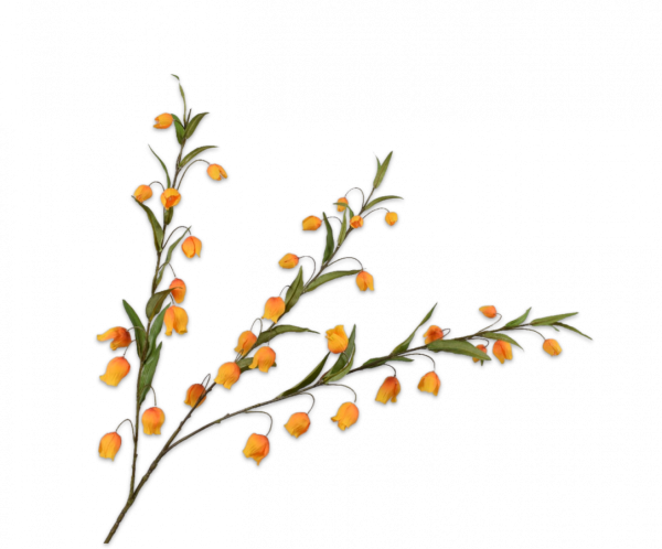 Set vaas met bloemen 'Sun' - Afbeelding 7