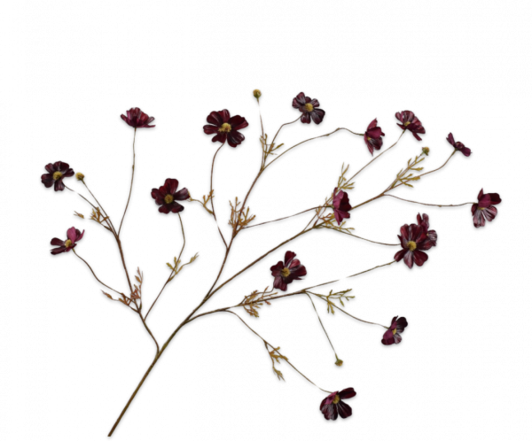 Silk-ka Cosmos tak bordeaux 104cm