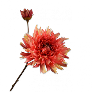 Chrysant Tak Oranje/Geel 78 cm