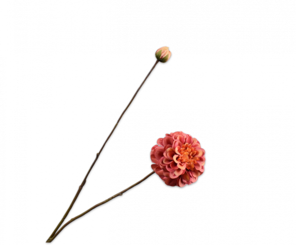 Dahlia Tak Oranje 86 cm