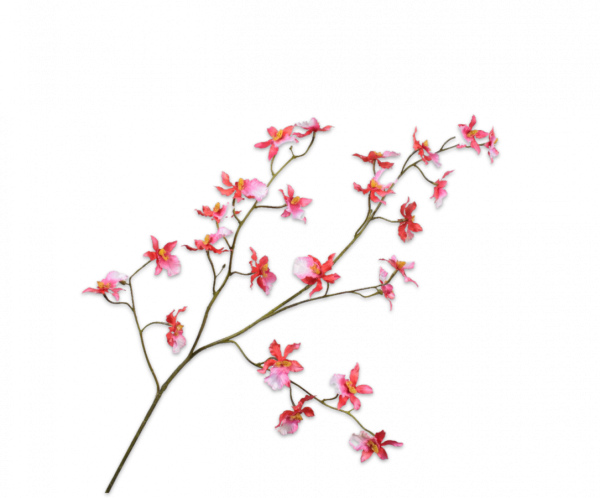 Orchidee Tak Oranje/Roze 100cm