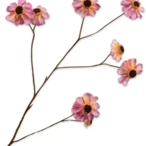Silk-ka Rudbeckia roze 101cm