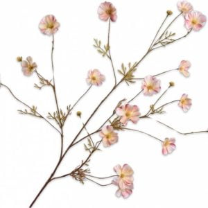Silk-ka Cosmos tak creme /licht roze104cm