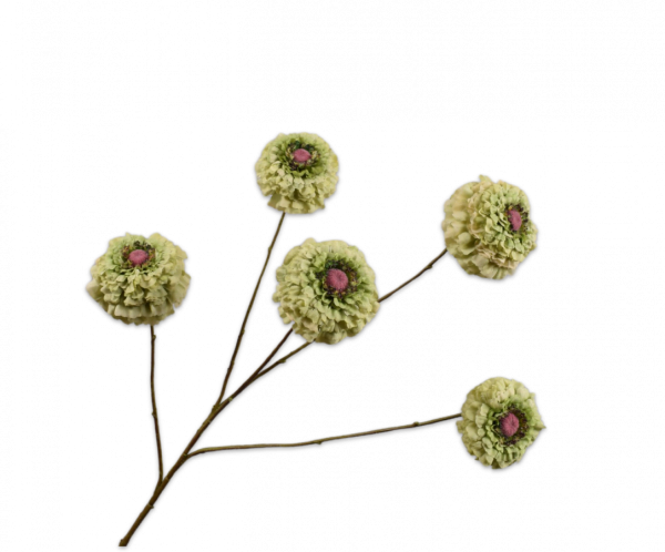 Zinnia Tak Groen 91 cm