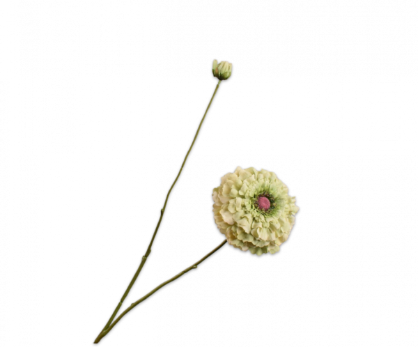 Zinnia Tak Groen 85 cm