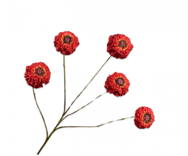 Zinnia Tak Rood 91 cm