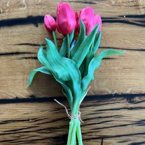Bosje korte tulpen fuchsia 25cm (5 stuks)