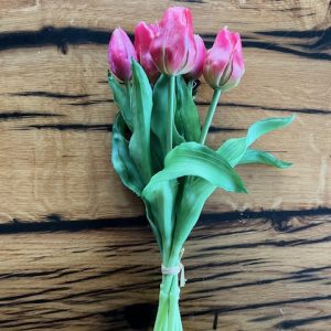 Bosje korte tulpen roze/rood 25cm (5 stuks)