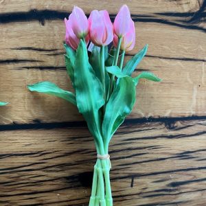 Bosje korte tulpen roze 25cm (5 stuks)