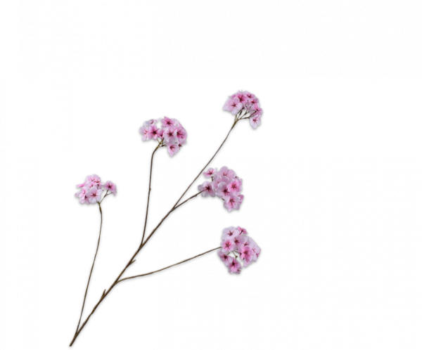 Silk-ka bloesem tak roze 110cm